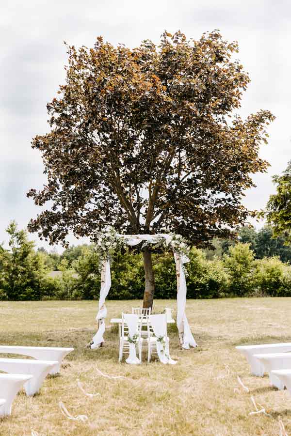 Traubogen unter einem Baum. Rechts und links Bierbänke mit weißen Überzug.